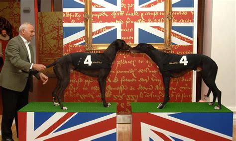 Diamond dogs: Famous English Greyhound Derby winners.